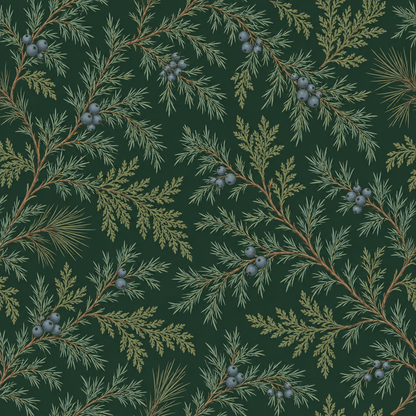 Macro detail of Juniper Drift showing layered foliage, warm stems and textured leaves against the deep green field