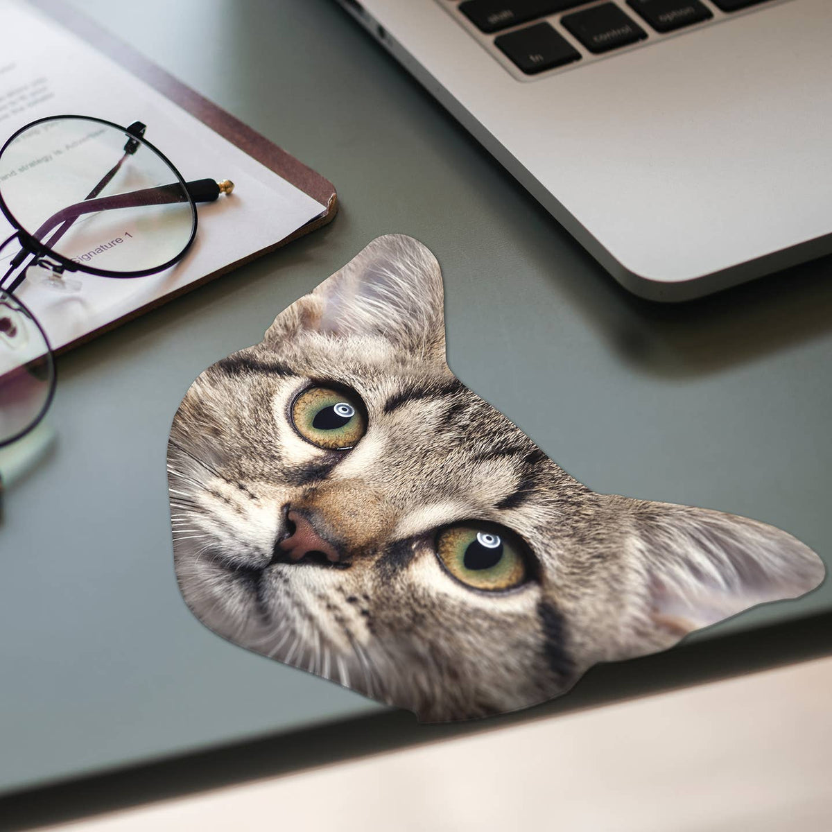 Cat Glasses Cloth — Fun Microfiber Lens Wipe by Pikkii USA — view 3