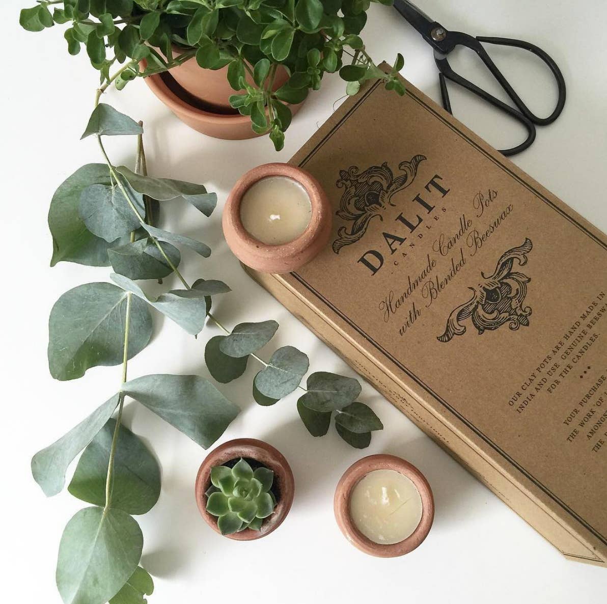Handmade Terracotta Beeswax Tea Light Candles - Box of 10 by Dalit Goods Co — view 2