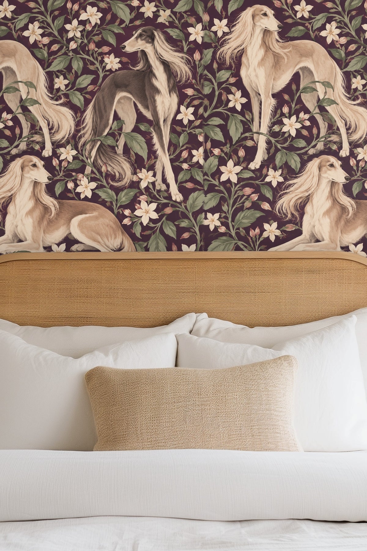 Wallpaper showing elongated Saluki dogs with elegant poses and flowing tails.