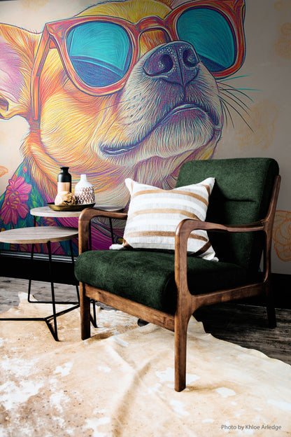 Frenchie Radiant Retro Pup