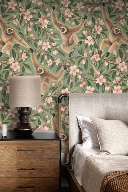 Soft green wallpaper background offering a muted yet rich canvas for the pink blossoms and brown gibbons