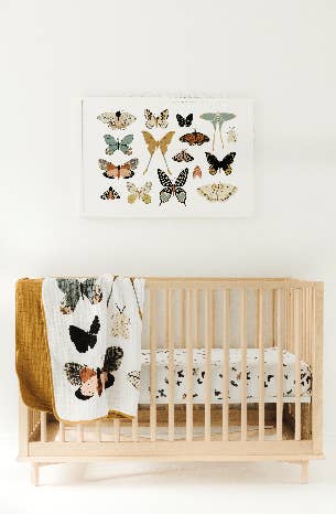Butterfly Collector Quilt by Clementine Kids — view 3