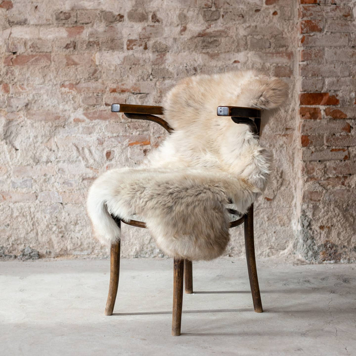 Texel Sheepskin — Natural Multi-Tone — Dutch Wool — 4 Sizes by Van Buren — view 2