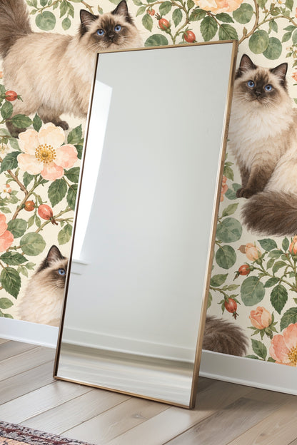 Detail of ragdoll cat with fluffy tail and blue eyes sitting among peach roses