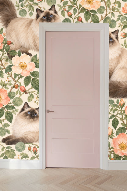 Ragdoll cat walking forward among rose branches in illustration