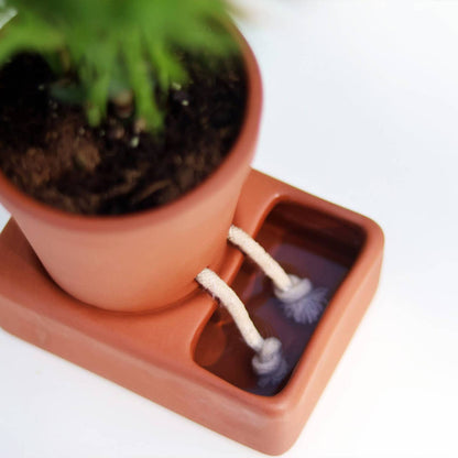 Self Care Planter — Self Watering Plant Pot — Home Accents by Pikkii USA — view 5