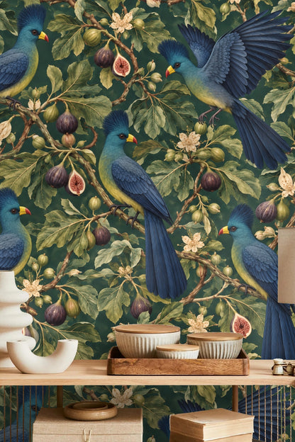 Turaco birds clustered around vine-like fig branches, showing layered leaves and fruit in artful composition.