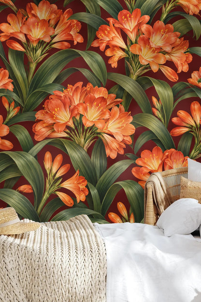 Botanical wallpaper pattern showing recurring large-scale clusters of orange clivia flowers
