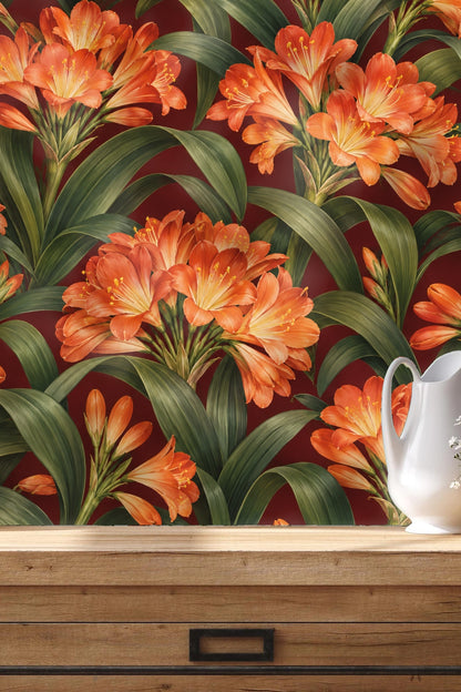 Dining room wall covered in burgundy wallpaper with bold orange clivia blooms and lush green foliage