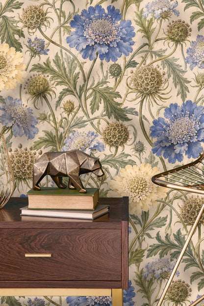 Yellow scabious bloom surrounded by leafy stems and seed pods