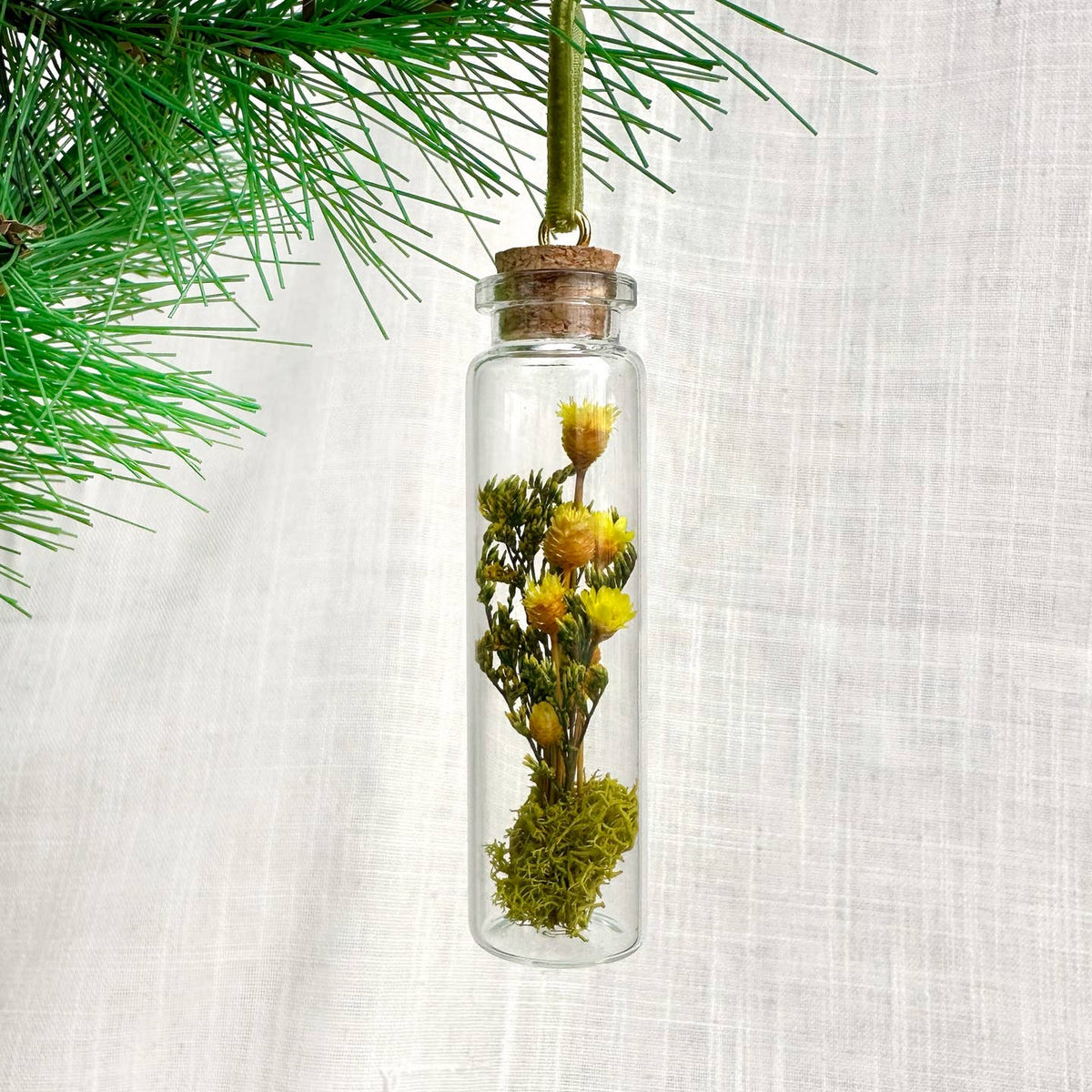 Mix Wildflower Terrarium Christmas Ornament Curiosity Jar by CA Studios — view 9