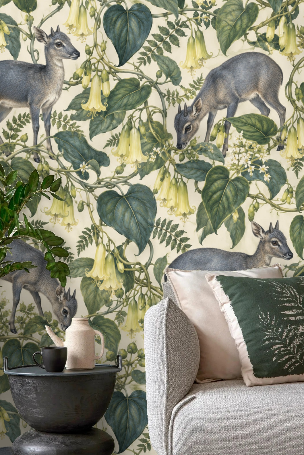 Pair of duiker antelopes in a walking pose on wallpaper