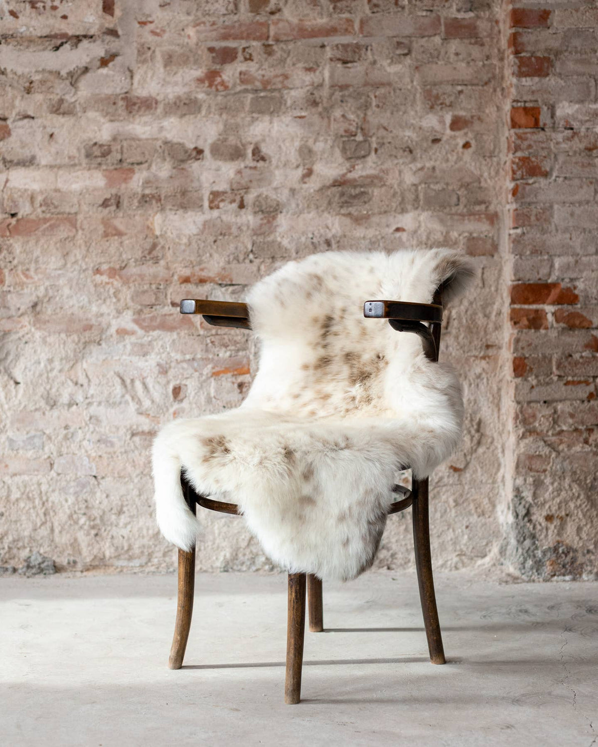 Texel Sheepskin — Natural Multi-Tone — Dutch Wool — 4 Sizes by Van Buren — view 4