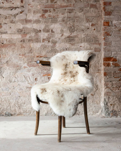 Texel Sheepskin — Natural Multi-Tone — Dutch Wool — 4 Sizes by Van Buren — view 4