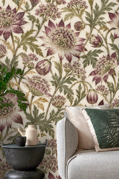 Artistic rendering of astrantia flowers with soft shading and intricate leaf detail.