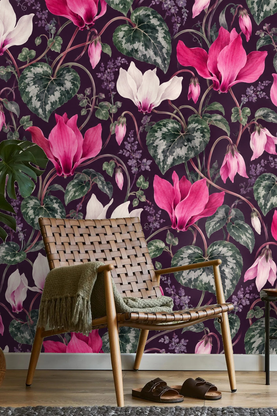 Wallpaper close-up showing detailed cyclamen flowers in white and bright pink with heart-shaped variegated leaves on plum background