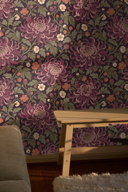 Detailed view of plum chrysanthemum petals curling gracefully.