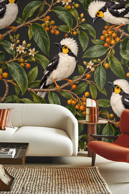 Living Room Wall Decorated with Helmetshrike Wallpaper Showing Single Bird Close-Up