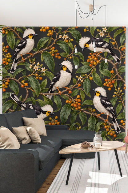 Cluster of Helmetshrike Birds with Fluffy White Crests on Wallpaper