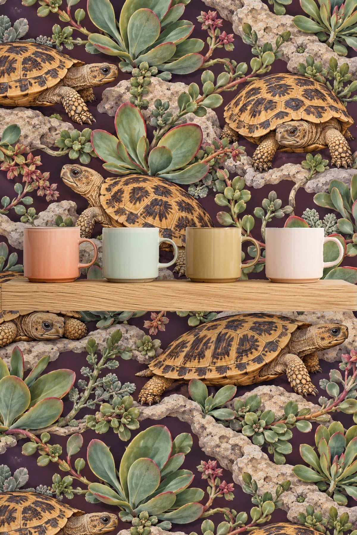 Group of succulent plants with red-edged leaves in wallpaper design.