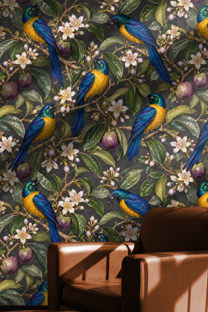 Detailed view of starapple fruit and green leaves with starling wallpaper background