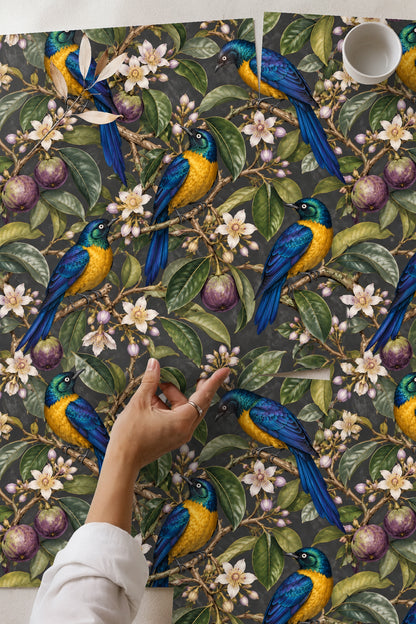 Close-up of a single golden starling with iridescent blue and yellow plumage perched on flowering starapple branch