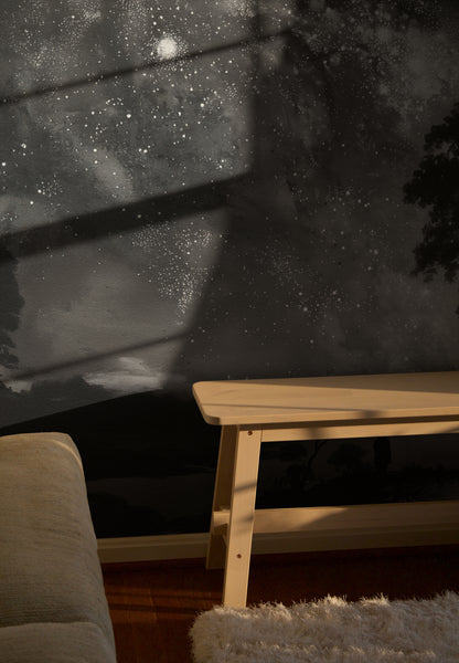Harmonie du ciel de minuit