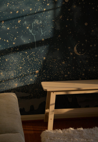 Rêverie étoilée de minuit