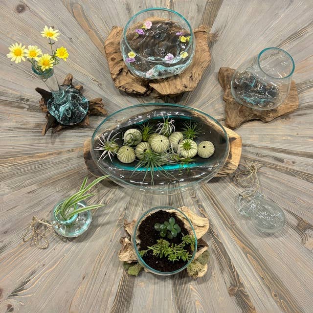 Mini Glass Terrarium On Wood (Approx. 6" X 5" X 5") by Asia West — view 8