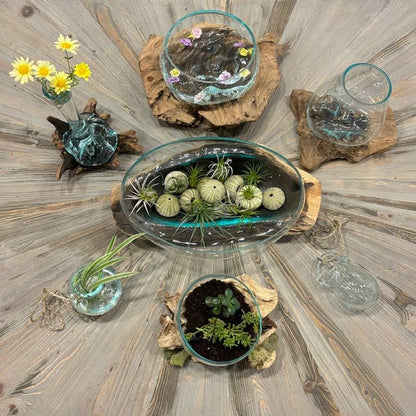 Mini Glass Terrarium On Wood (Approx. 6" X 5" X 5") by Asia West — view 8
