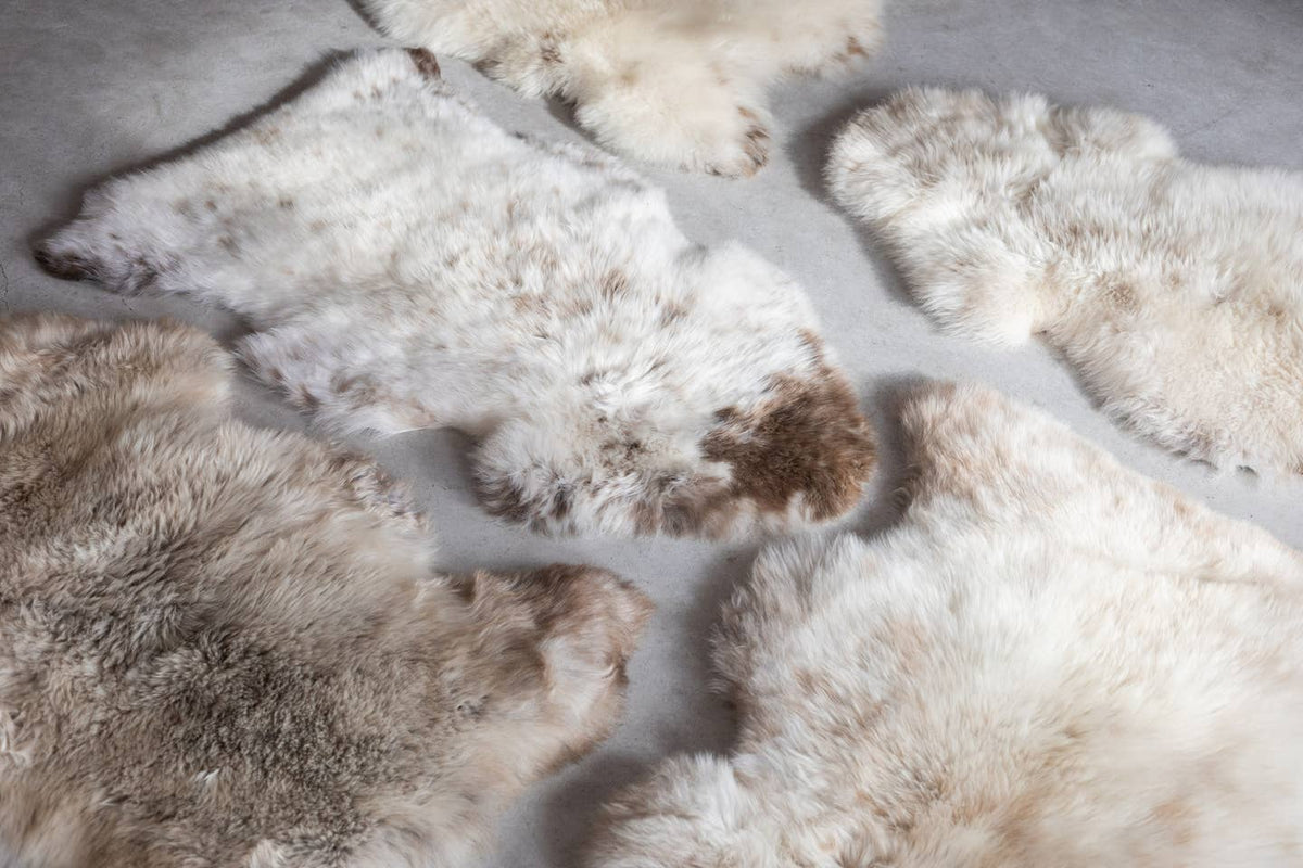 Texel Sheepskin — Natural Multi-Tone — Dutch Wool — 4 Sizes by Van Buren — view 3