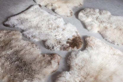 Texel Sheepskin — Natural Multi-Tone — Dutch Wool — 4 Sizes by Van Buren — view 3