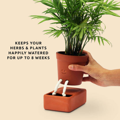 Self Care Planter — Self Watering Plant Pot — Home Accents by Pikkii USA — view 2