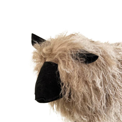 Tibetan Lamb