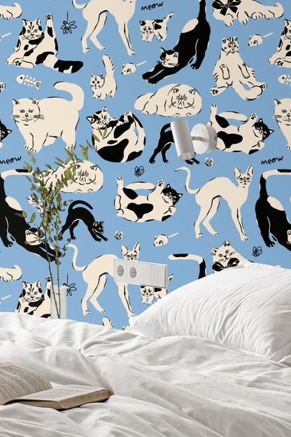 Close-up of black and cream cats with playful poses on blue wallpaper
