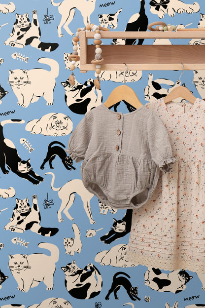 Cream colored cat sitting calmly with black details on blue wallpaper