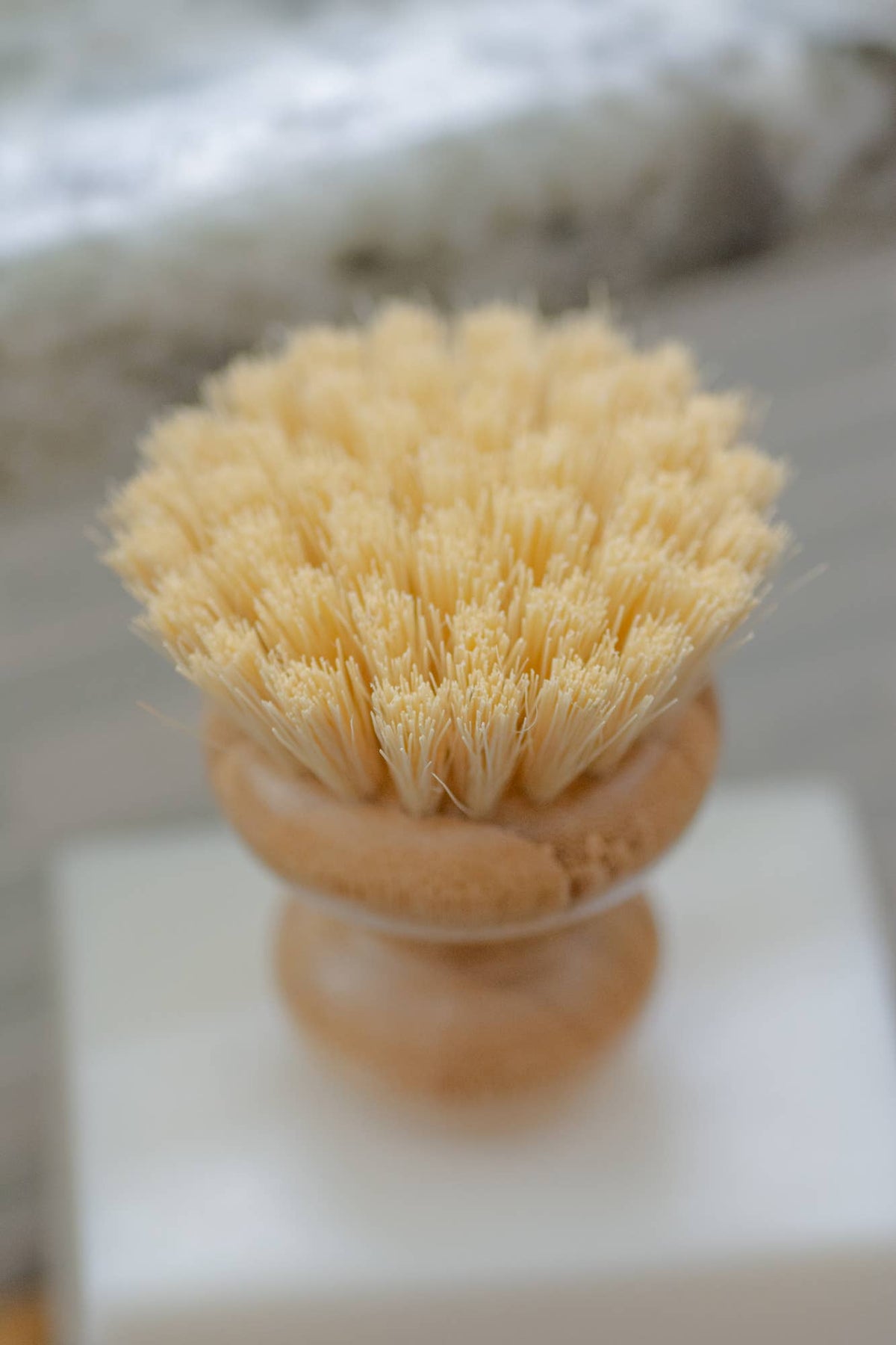 Casa Agave® Dish Washing Brush - No Tox Life by No Tox Life — view 4