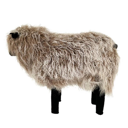 Tibetan Lamb