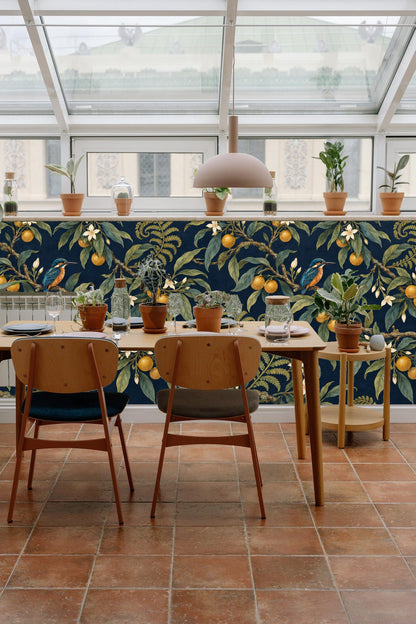 Close-up of white citrus blossoms and twisting branches on dark blue wallpaper