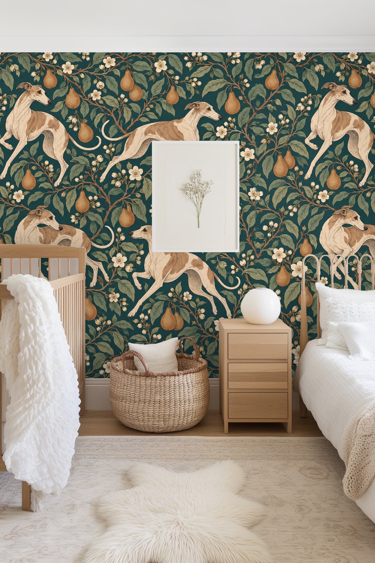 Close-up of a tan and cream whippet leaping against a backdrop of flowering pear branches on dark teal