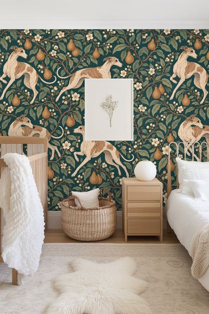 Close-up of a tan and cream whippet leaping against a backdrop of flowering pear branches on dark teal