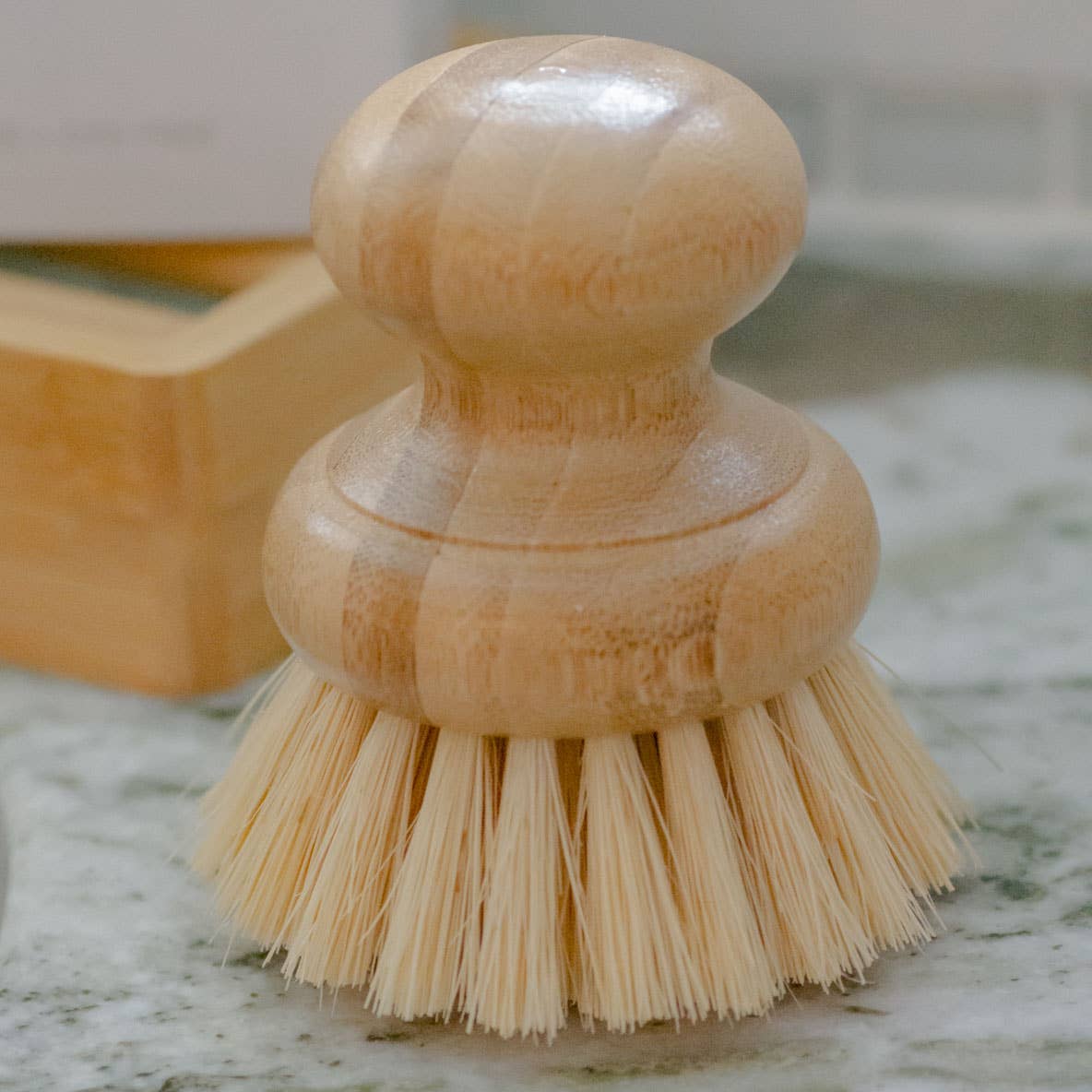 Casa Agave® Dish Washing Brush - No Tox Life by No Tox Life