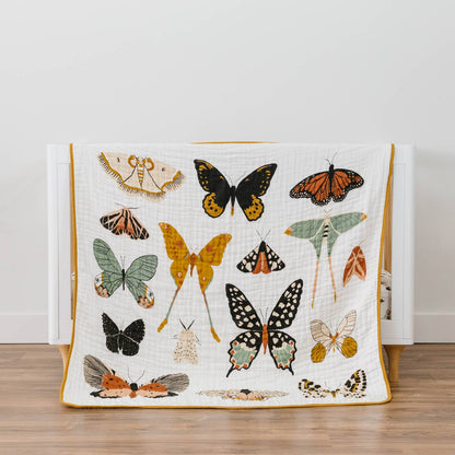 Butterfly Collector Quilt by Clementine Kids
