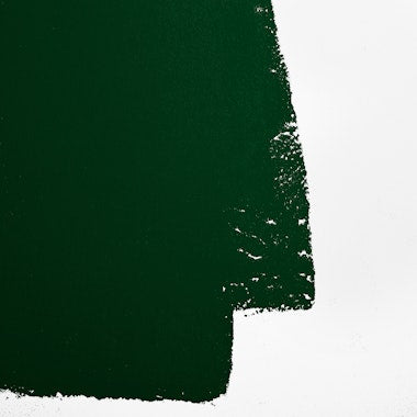 PORSCHE IRISH GREEN