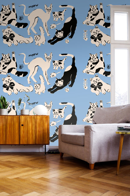 Black and cream playful cat with ball toy on blue wall