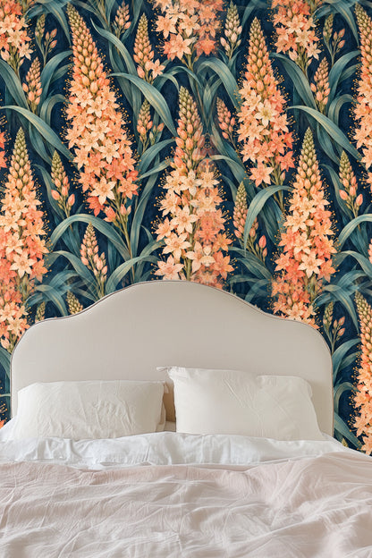 Apricot Eremurus Spires